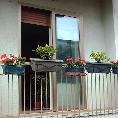 Guest House Cuore Del Friuli أوديني المظهر الخارجي الصورة