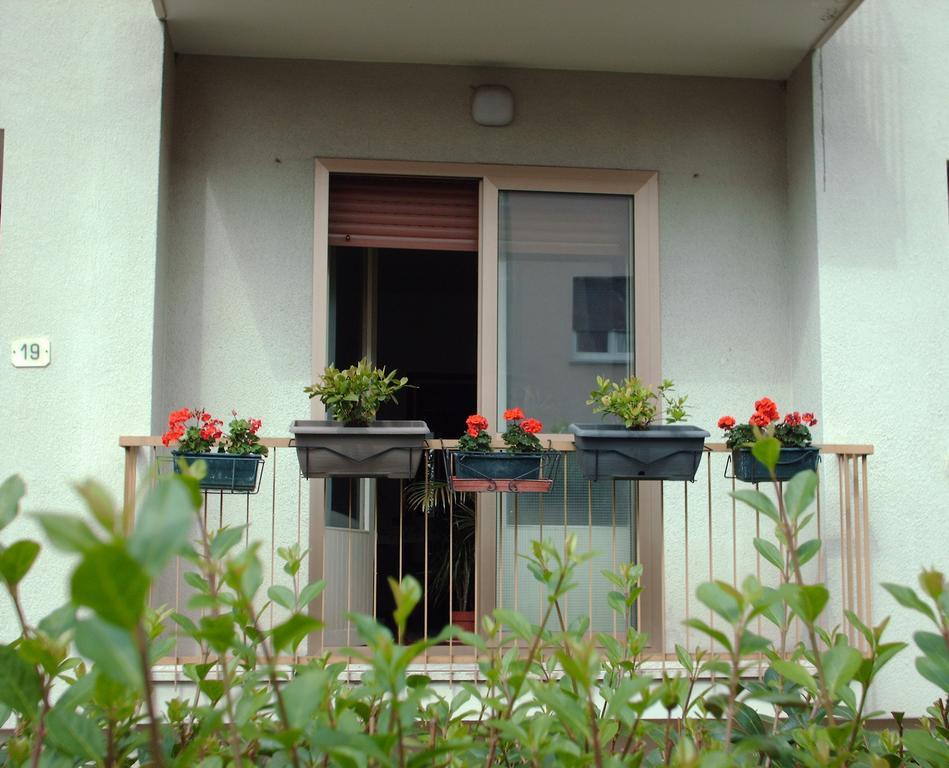 Guest House Cuore Del Friuli أوديني المظهر الخارجي الصورة
