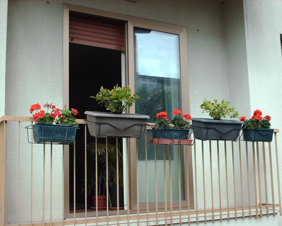 Guest House Cuore Del Friuli أوديني المظهر الخارجي الصورة